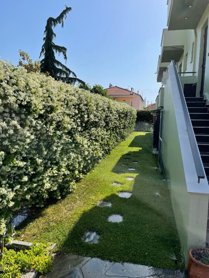 Pall'S Minimal Apartment Néa Péramos Zewnętrze zdjęcie